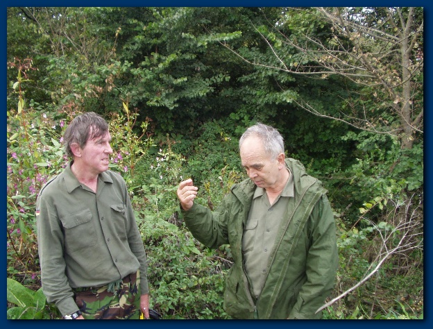 600x449 pixels (185K)